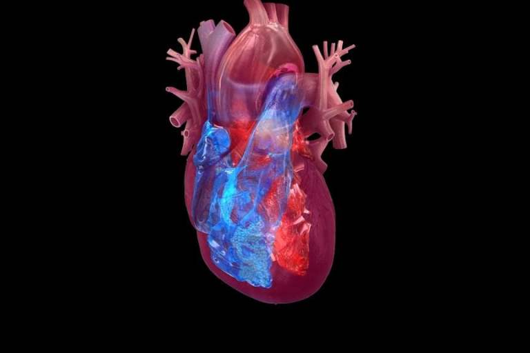 Health matters: Here’s the leading cause of death for men and women: what you need to know