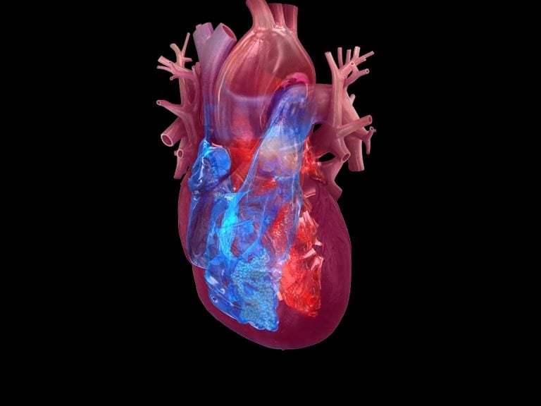 Health matters: Here’s the leading cause of death for men and women: what you need to know