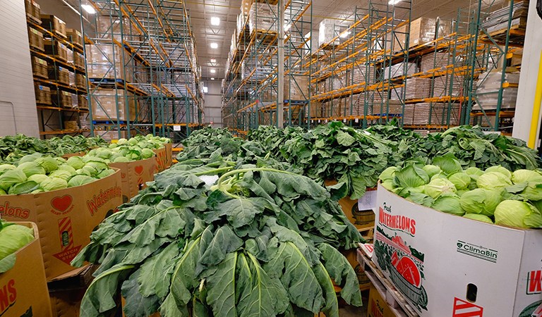 William E. Conway, Jr. Makes $10 Million investment in addressing regional hunger through gift to Capital Area Food Bank