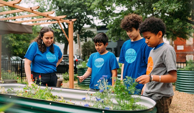 Dual Language in The District