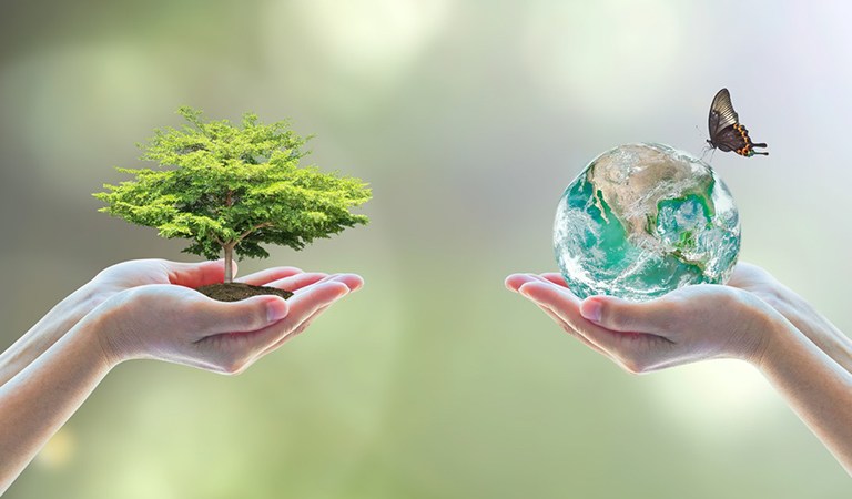 Living Green: 25+ Ways to Reduce Your Carbon Footprint