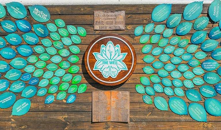Things to Do In DC: Grooves In the Garden