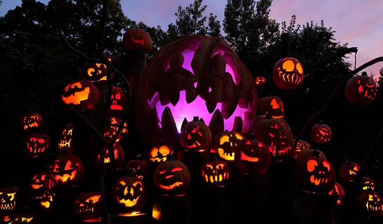 Things To DO In Detroit: Fall Fest Fun at the Detroit Zoo