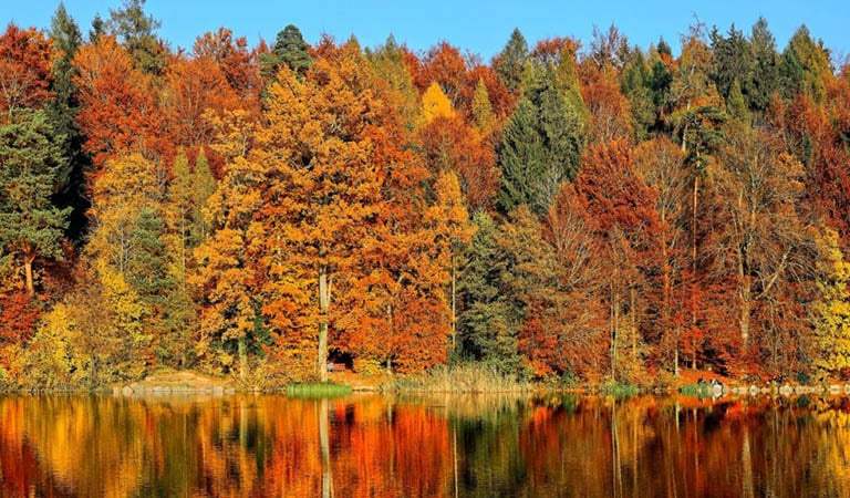 Things To DO In DC: Top Fall Weekend Getaways