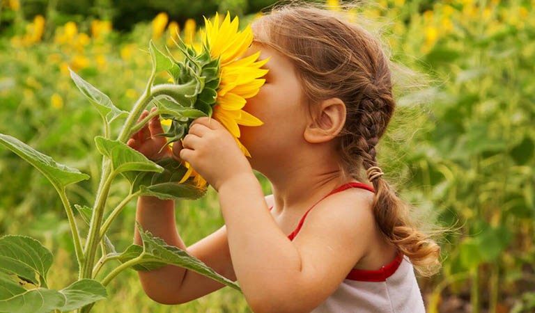 Fun Activities to Teach Children About Preserving the Environment