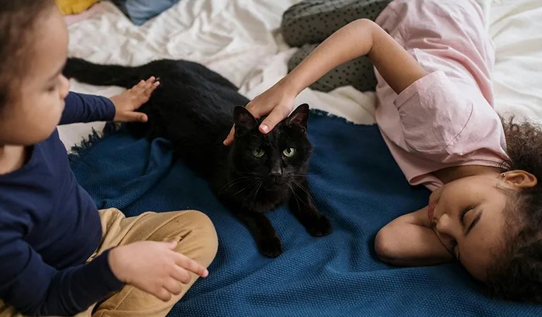 Insurance for Your Unique Needs: Why You Can’t Afford to Wait