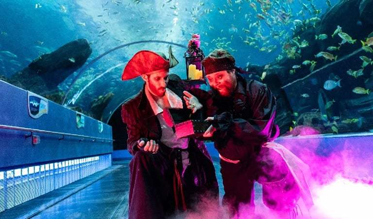 Things To Do In Atlanta: Explore Haunted Seas at the Georgia Aquarium