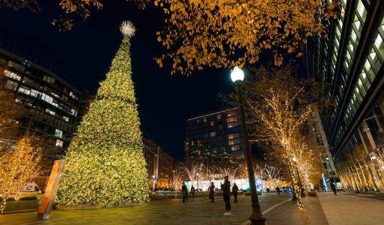 Things To Do In DC: Dazzling Holiday Light Displays & Events
