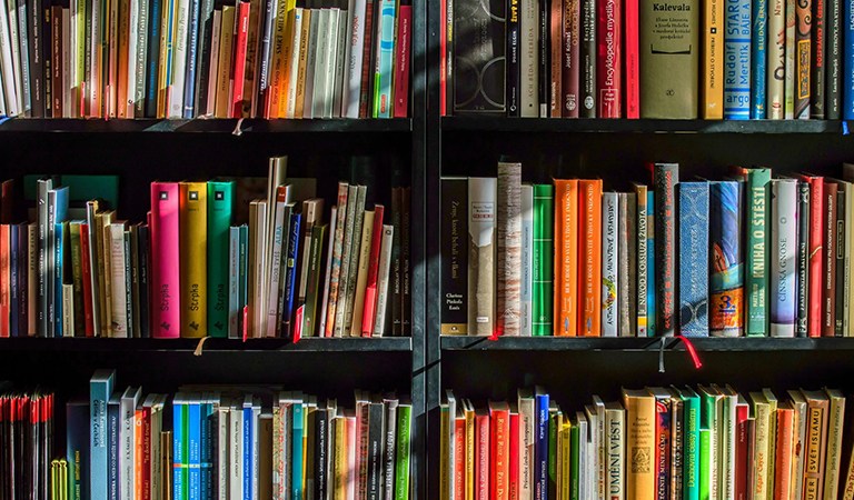 4 Book Campaigns Bridging the Reading Literacy Divide 