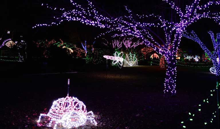 Things To Do In Detroit: Light up your night at Wild Lights!