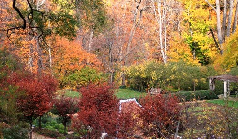 Things To Do I DC: 7 Leaf-Peeping Fall Excursions and Experiences in the DC Area