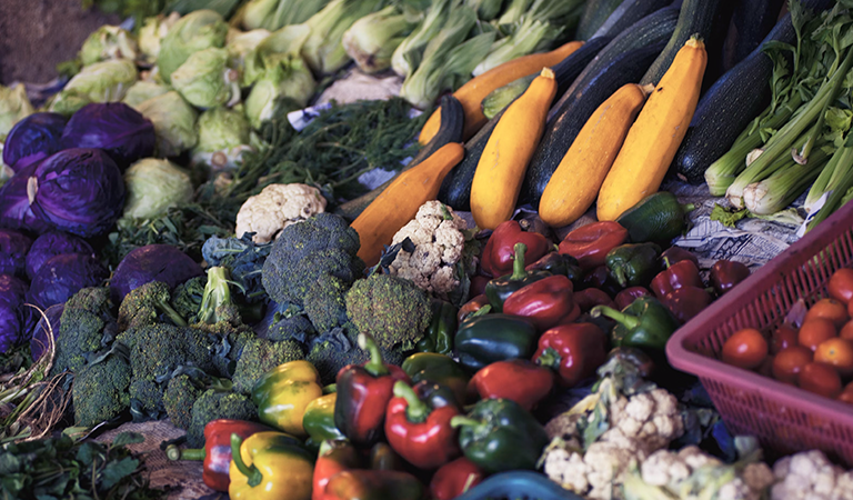 USDA and Reinvestment Fund Invest Nearly $6 Million to Increase Equitable Access to Healthy Foods Across Country