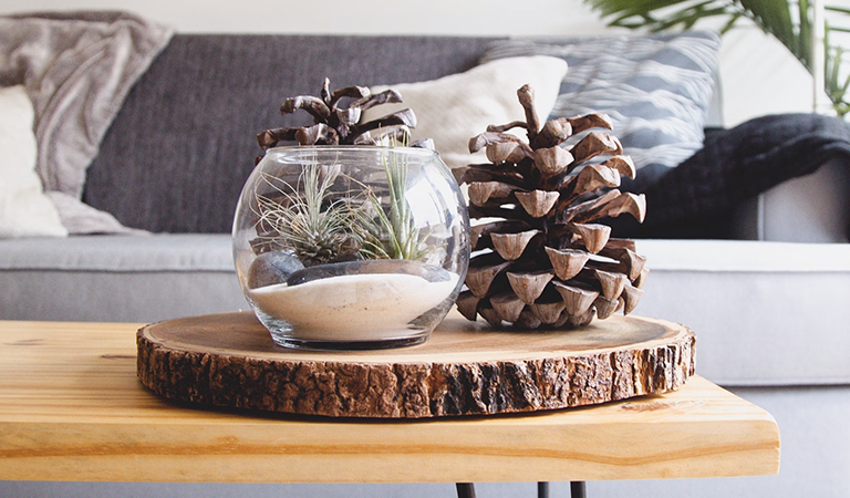 Smartly Using Your Home’s Equity: Pros and Cons