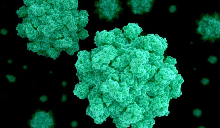 Norovirus Sweeping the UK: What You Need to Know