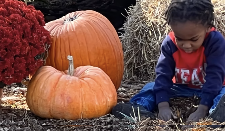Building Food Equity: The Role of Detroit Food Commons in Community Healing