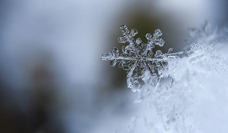 Midwest Frigid Blast and Northeast Blizzard: What You Need to Know