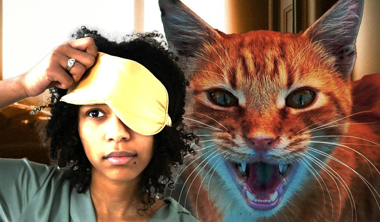 Furry Fam: How to Stop Your Cat from Meowing Loudly at 5 AM