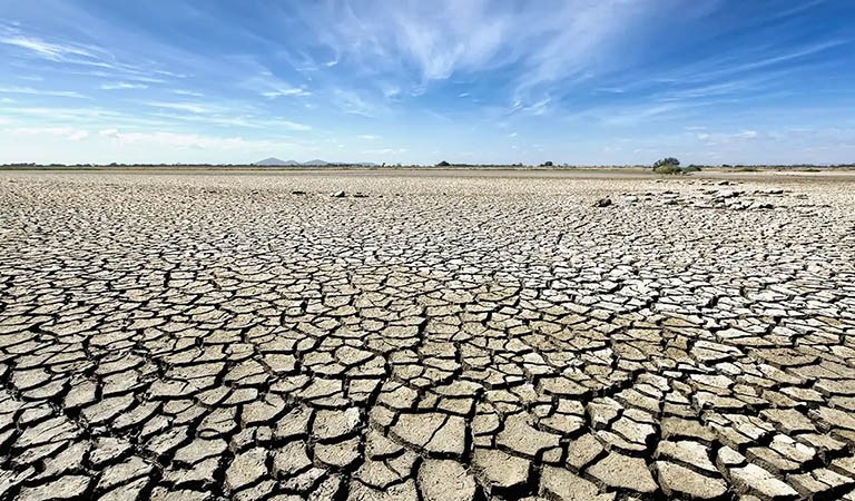 Charting a path for global action on land and drought
