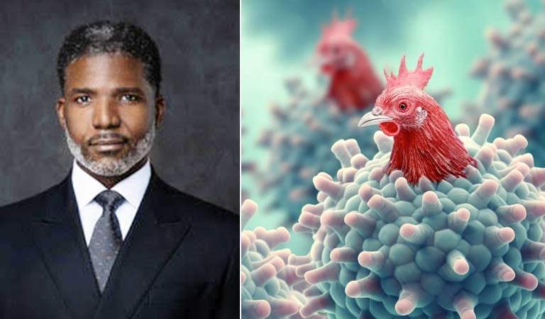 Bird Flu Outbreak: What You Need to Know to Stay Safe