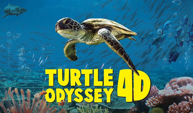 Things To Do In Baltimore: Unveil the Wonders of Turtle Odyssey 4D: A Must-See in Baltimore