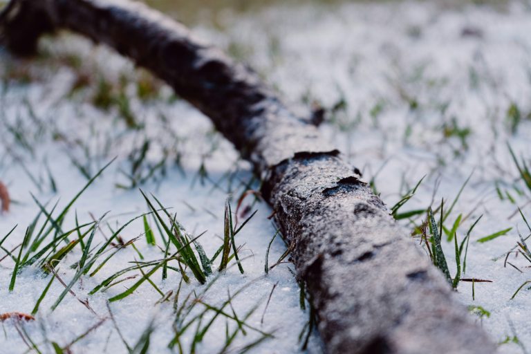 Preparing for the Polar Vortex: Essential Tips for the Nation’s Winter Weather