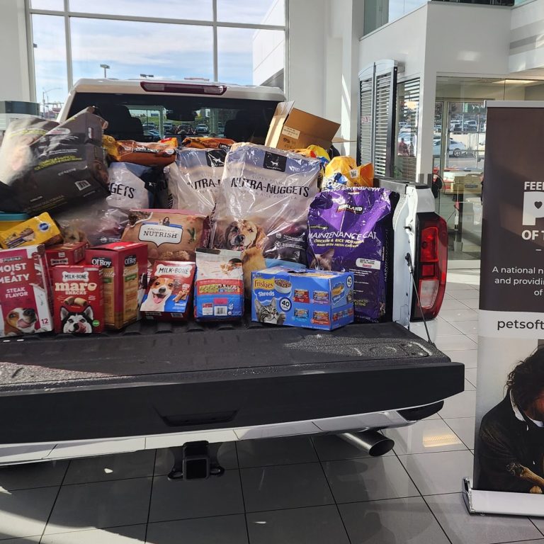Feeding Pets of the Homeless Provides Relief to Pet Owners Displaced by Los Angeles Fires