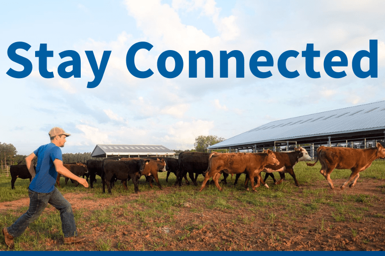 USDA Invests in Additional Domestic Biofuels and Clean Energy Projects to Lower Costs and Increase American Energy Security Across the Nation