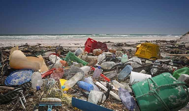 Nigeria’s plastic bottle collectors turn waste into wealth: survey sheds light on their motivation
