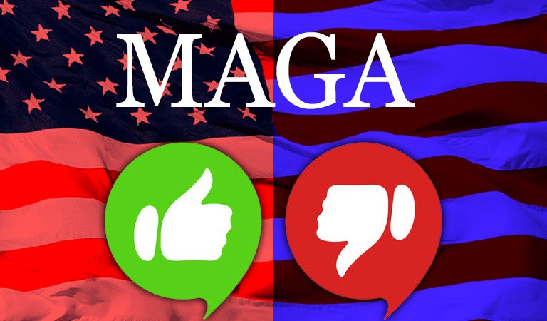 I’m NOT a MAGA Supporter; What Do They Want? | I AM a MAGA Supporter; I Want MY Country Back!