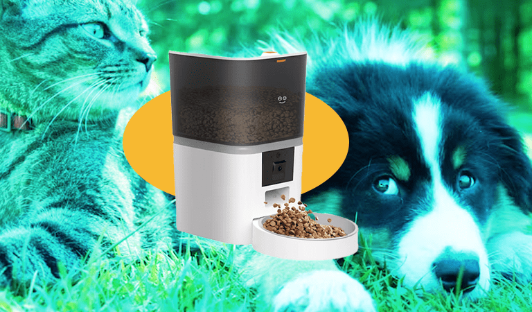 Furry Fam: Top Trends in Pet Care for Dogs in 2025