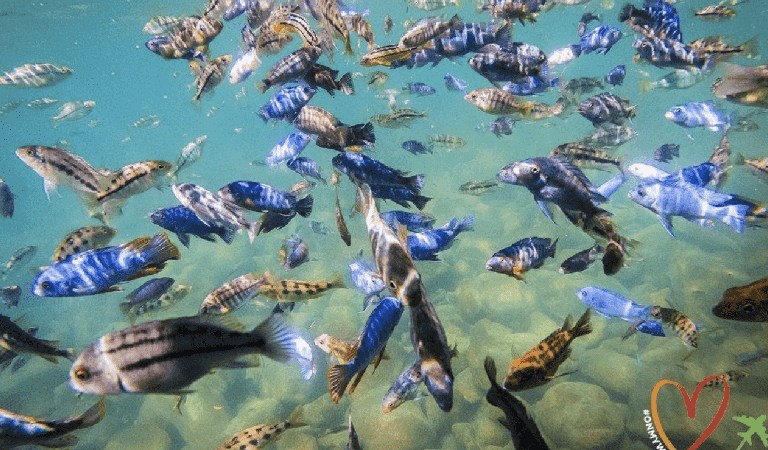 5 Places To Visit In Africa
