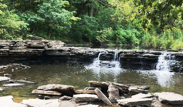 Travelution: Will County’s Best: Outdoor Adventures, Family Fun & More