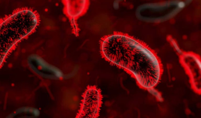 8 Infectious Diseases On The Rise Right Now