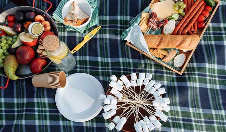 Top 10 Essentials for an Unforgettable Family Picnic This Summer