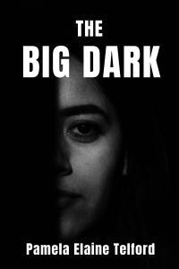 Book Hook: The Big Dark: A Memoir of Survival, Silence, and Finally, a Voice