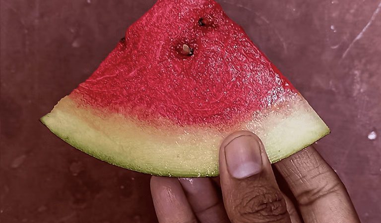 Has the Historical Oppression of the Black (watermelon) Farmer in the United States Weakened America’s True Farming Capabilities? (Part III)