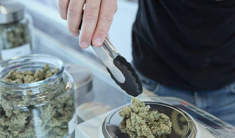 How to Start Fundraising For Your Cannabis Business