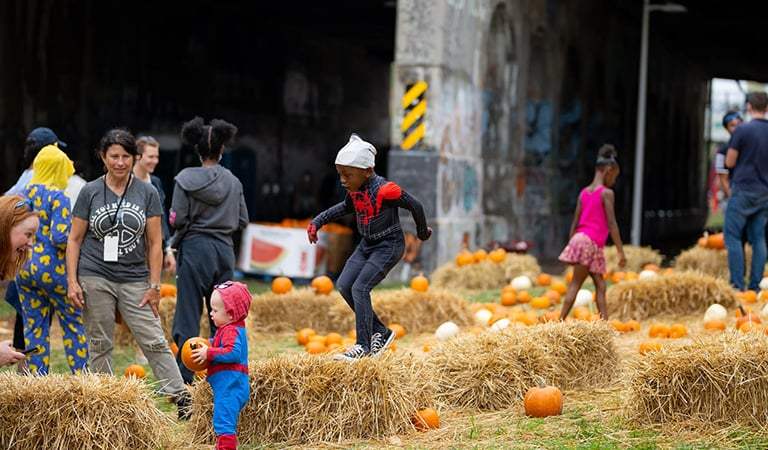 Things To Do In Detroit: Harvest Fest, Martin Garrix, and Eastern Market