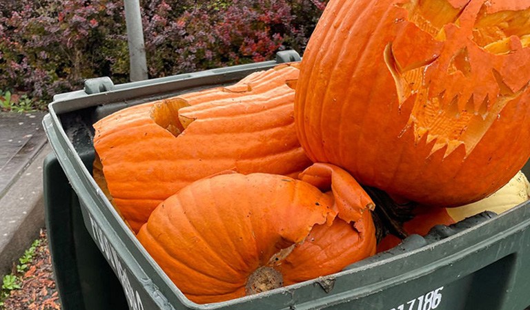 Things To Do In Will County: Hazardous Waste Disposal, Electronics Recycling, and Pumpkin Catapulting Fun
