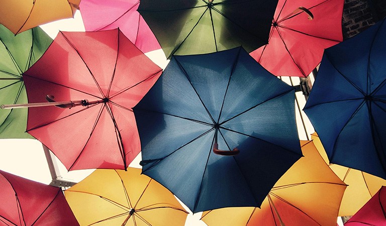 Why Bundling Insurance with Branch Insurance Group is a Smart Move