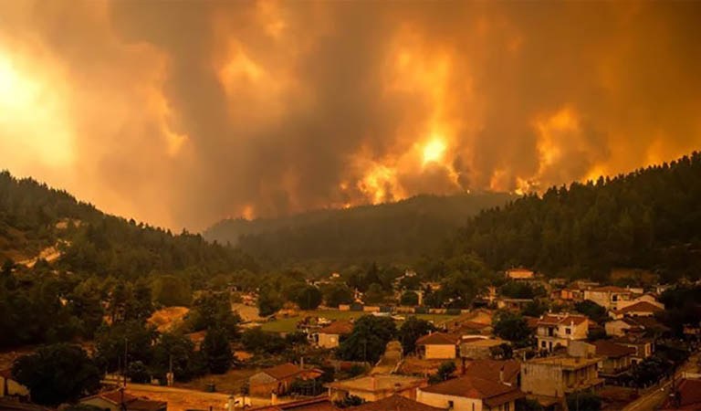 Top World News Stories Making Headlines This Week: Shutdowns, Summits, and Climate Warnings