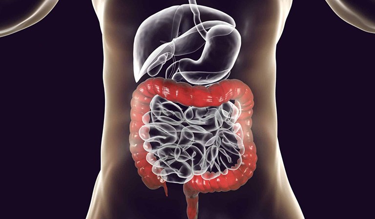7 Foods That Clean Your Colon
