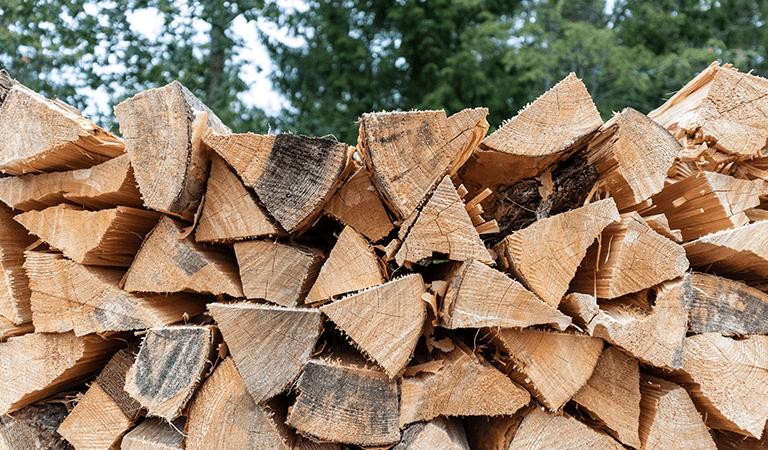 City of St. Louis Offering Firewood for Residents in 2025
