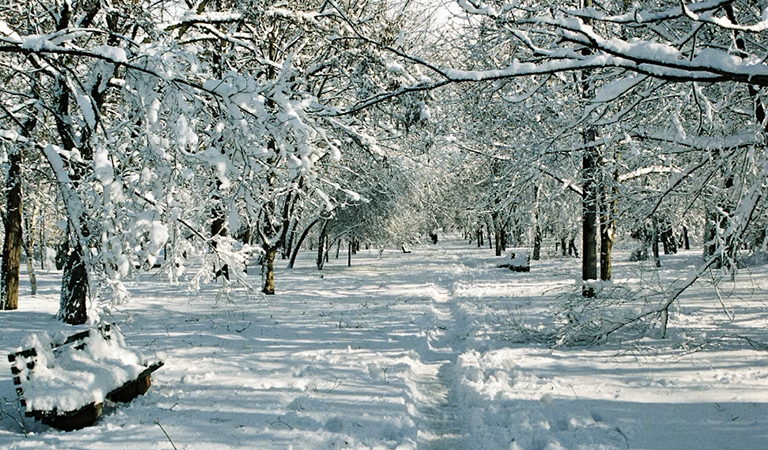 Things To Do In The Twin Cities: Art, Game On! and Minnehaha Park