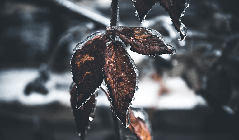 Seasonal Depression During the Holidays: How to Care for Yourself When the World Says “Be Merry” 