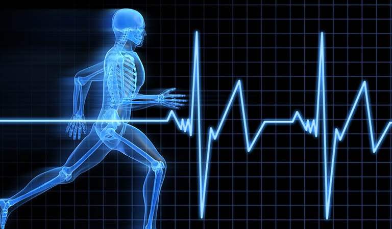 A visit to the Chiropractor: Getting an Alignment and staying in great health