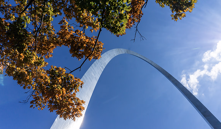 Metro East St. Louis News: Gateway Arch Expansion, Fatal Crash, and Local Programs