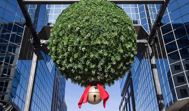 Things To Do In DC: Free Events, Wizards Game and Holiday Highlights