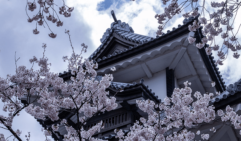 Top 10 Places to Travel in the World for 2026