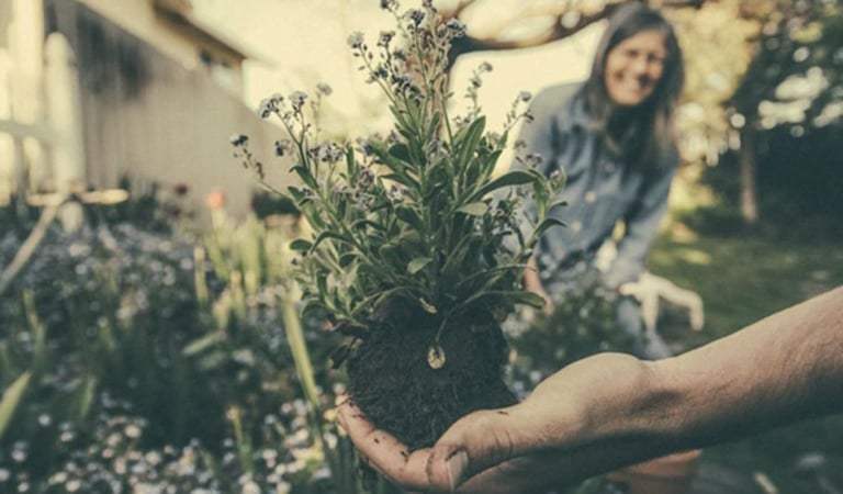 Why Gardening is Good for Your Mental Health